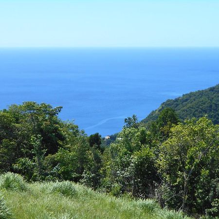 Diamond View Cottages Розо Экстерьер фото