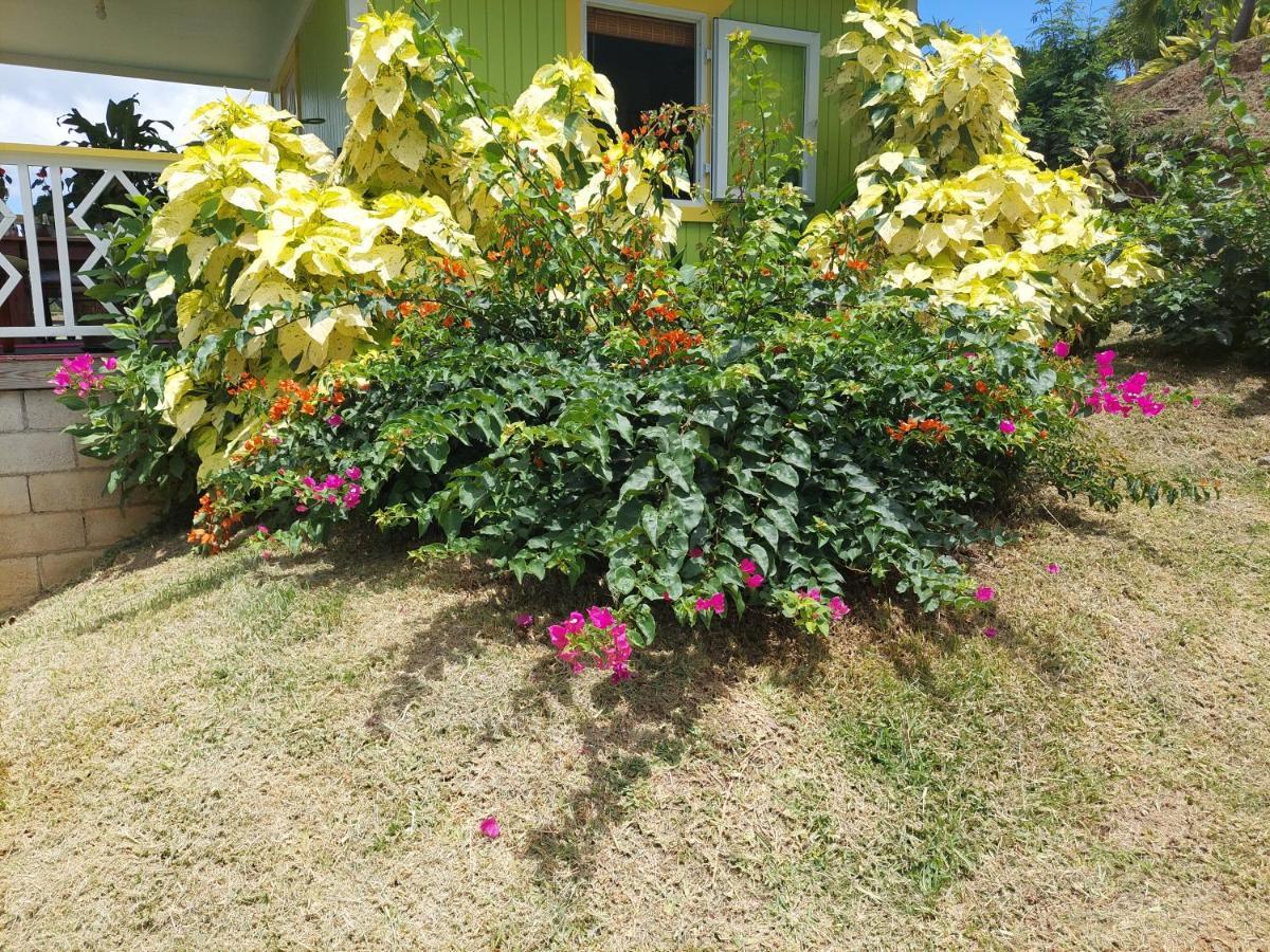 Diamond View Cottages Розо Экстерьер фото